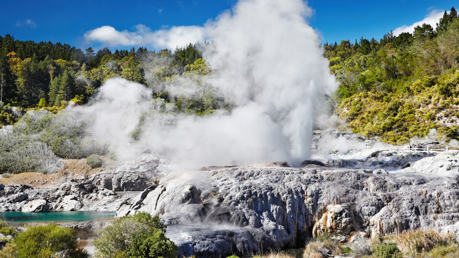 Rotorua Geothermal & Cultural Signature Tour