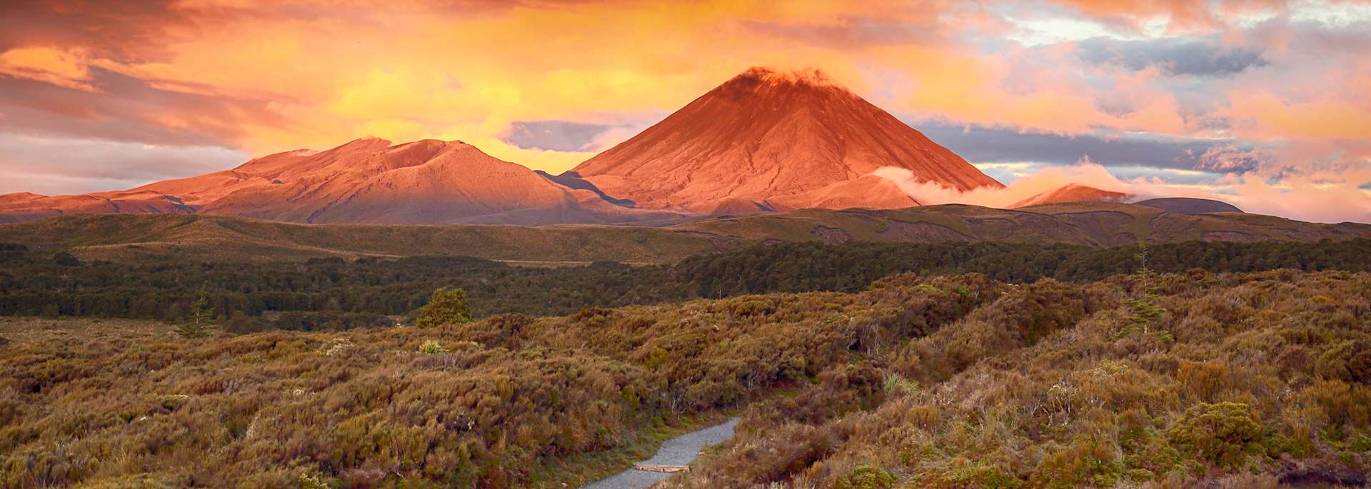 Tongariro National Park